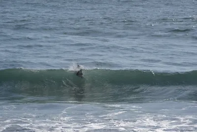 DSC_6925 (Large).JPG